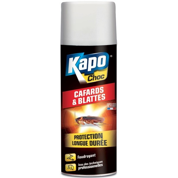 Aérosol foudroyant cafards et blattes - kapo
