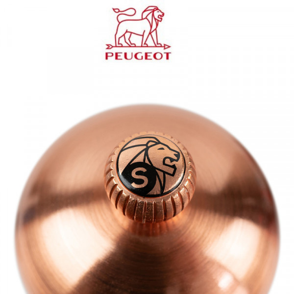 Vis de tête Cuivré - Sel - nouvelle version - Peugeot