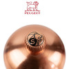 Vis de tête Cuivré - Sel - nouvelle version - Peugeot