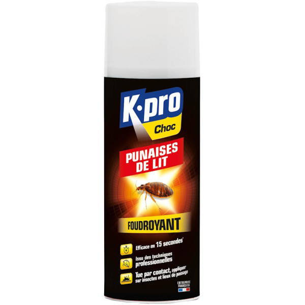 Aérosol Foudroyant contre les Punaises de lit - Kpro choc