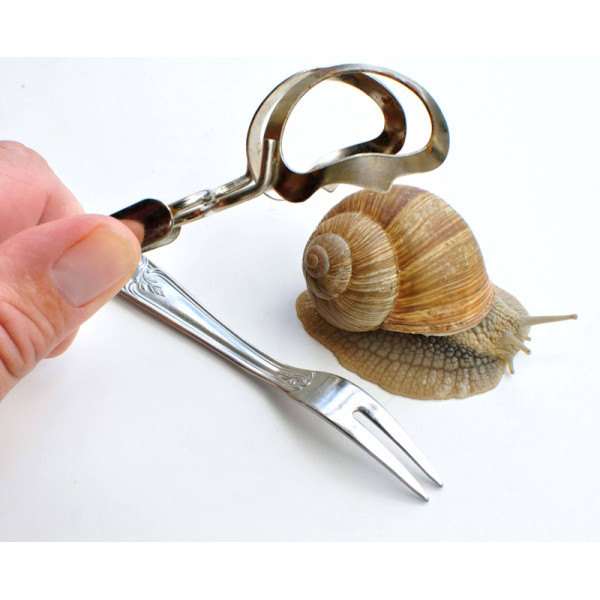 Pince à escargots inox - Roger Orfevre | Art. 3334257400137 - vue 3