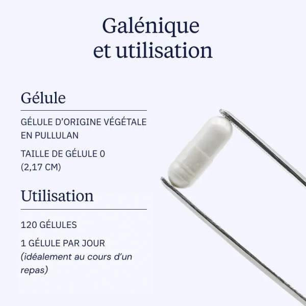 TMG : Trimethylglycine 400 mg - 120 gélules - Dynveo