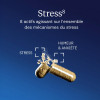 Complexe Stress 8 actifs - 90 gélules - Dynveo | Art. STRESS8 - Vue 2
