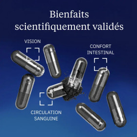 Extrait de myrtille sauvage 160 mg - 60 gélules - Dynveo
