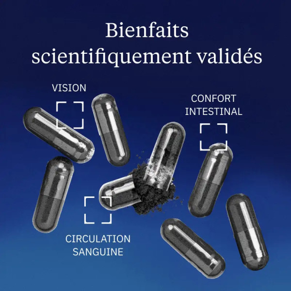 Extrait de myrtille sauvage 160 mg - 60 gélules - Dynveo