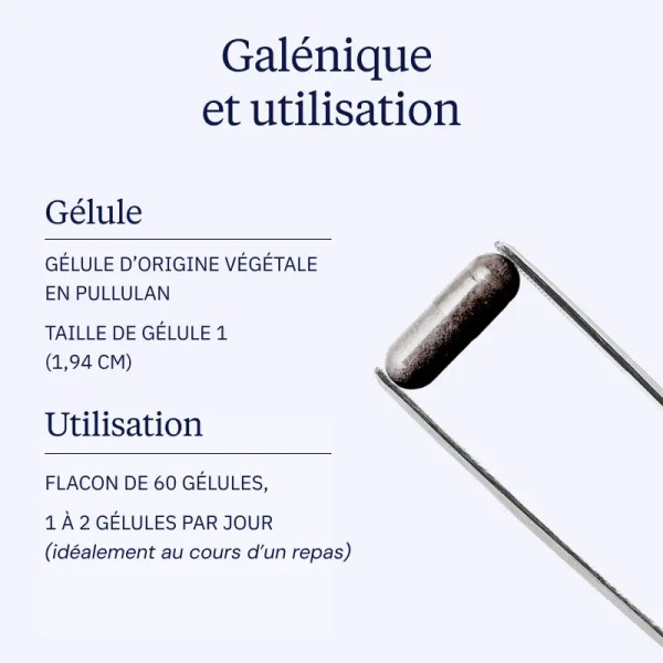 Extrait de myrtille sauvage 160 mg - 60 gélules - Dynveo