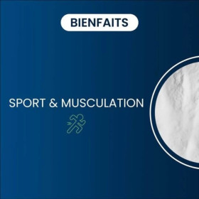 Créatine monohydrate Creapure - Qualité brevetée de référence - Dynveo